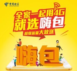 阜陽電信嗨包優惠 超級流量全家共享，4G暢享無憂生活