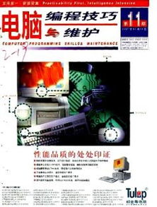 《電腦編程技巧與維護》1997年11期論文的學術價值與云南評審效力探析